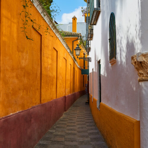 Visitas Guiadas en Español al Barrio de Santa Cruz en Sevilla con Guía Local Oficial de Turismo de Sevilla.