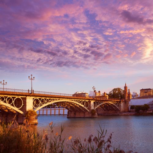 Visitas guiadas en sevilla con guía oficial. Reserva tu visita a Sevilla ahora.