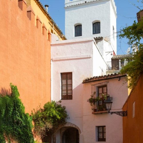 Guided Tour of the Santa Cruz Neighborhood in Seville with a Local Guide. Personalized visit.