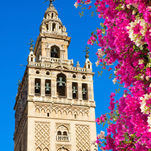 Visita Privada a la Catedral y la Giralda de Sevilla. Reserva online con Guía Local.