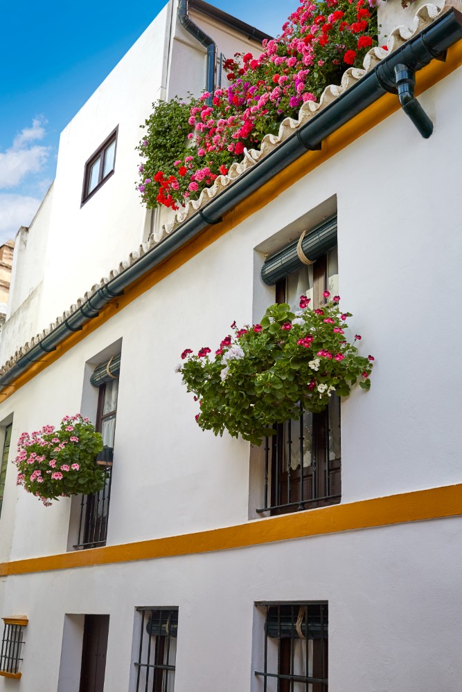 Rutas por Sevilla con Niños: Descubre la Ciudad en Familia