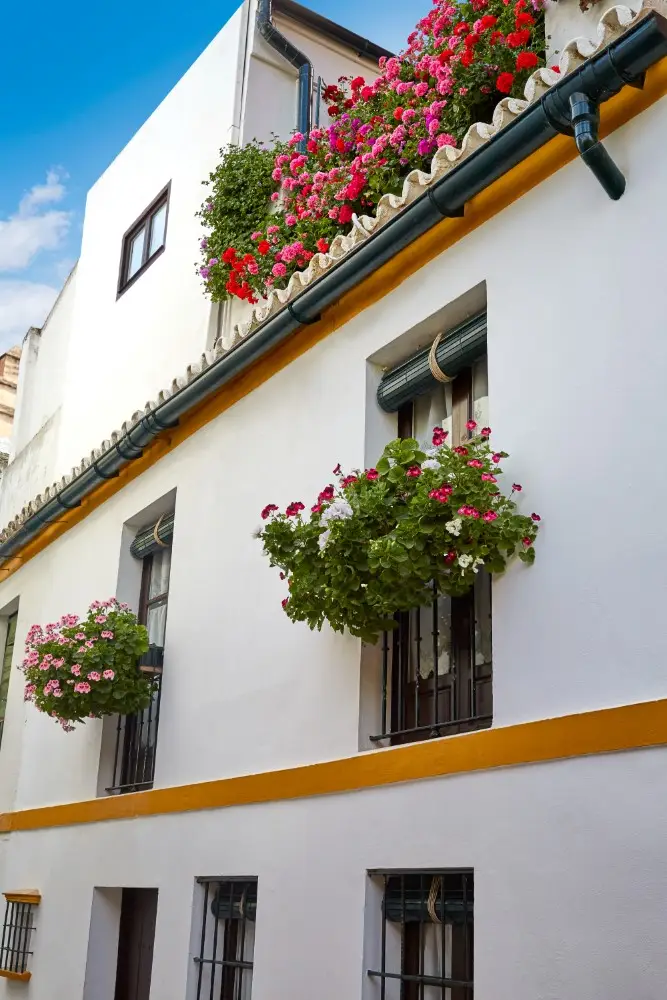 Family-Friendly Tours in Seville: Explore the City with Kids and Sevilla Walks 