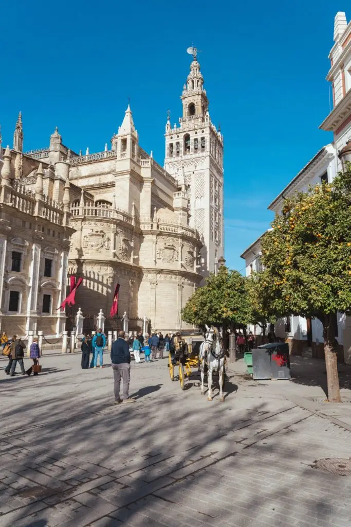 Primera vez en Sevilla: ¿por libre o con un
guía local?